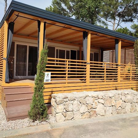Mobile Home Agava Biograd Na Moru Dış mekan fotoğraf